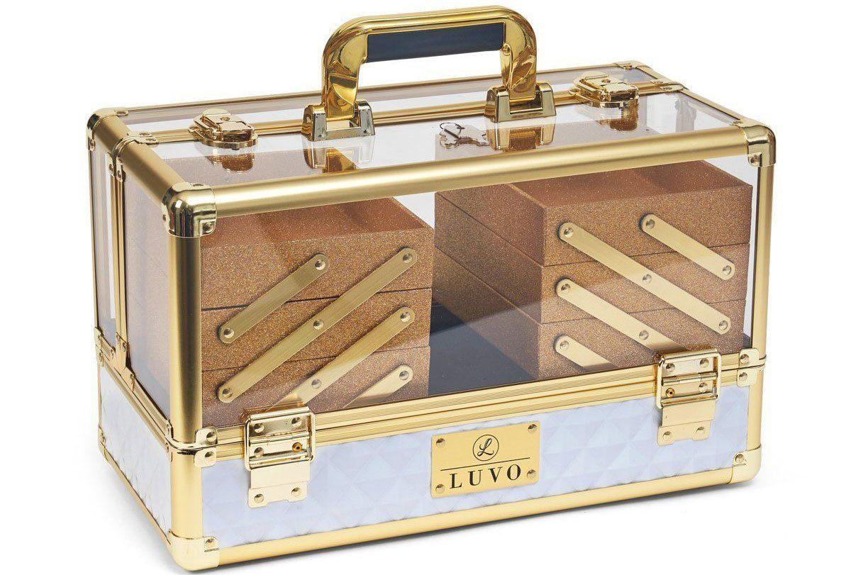 louis vuitton makeup train case